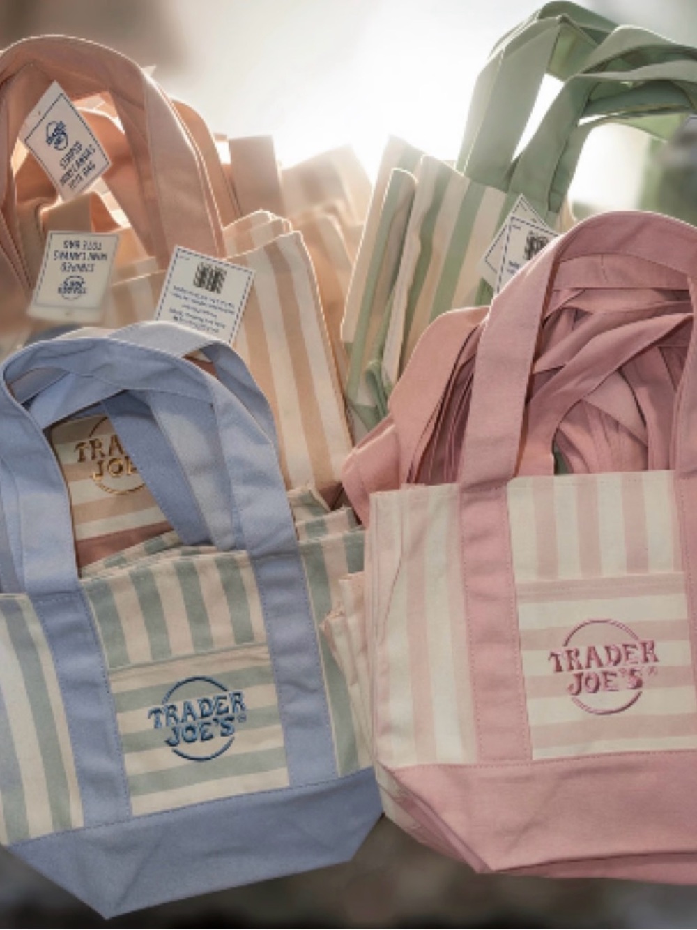 VIRAL! BUNDLE > Trader Joe's Pink Striped Canvas Tote Bag